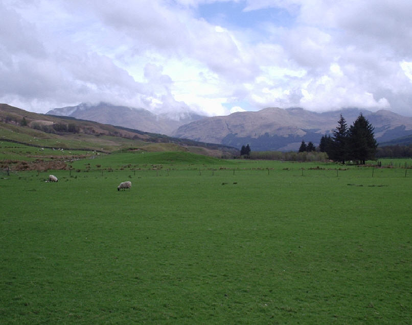 The Crinlarich Hills from near St Fillian's Priory